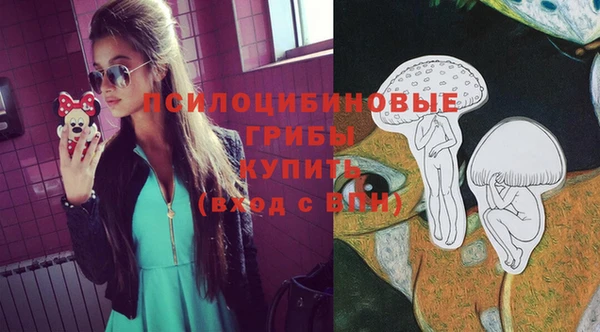 таблы Белокуриха