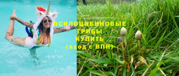 таблы Белокуриха