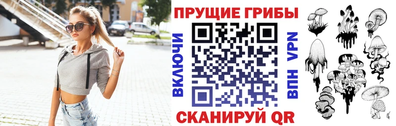 Галлюциногенные грибы ЛСД  мега tor  Высоковск 